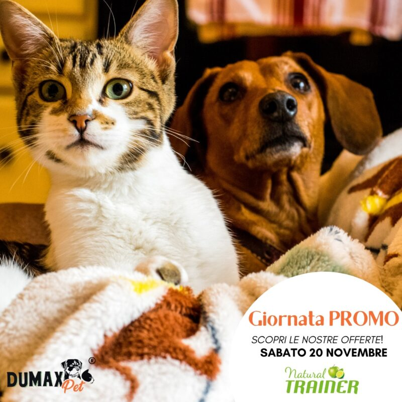 Giornata Promo da Dumax Pet